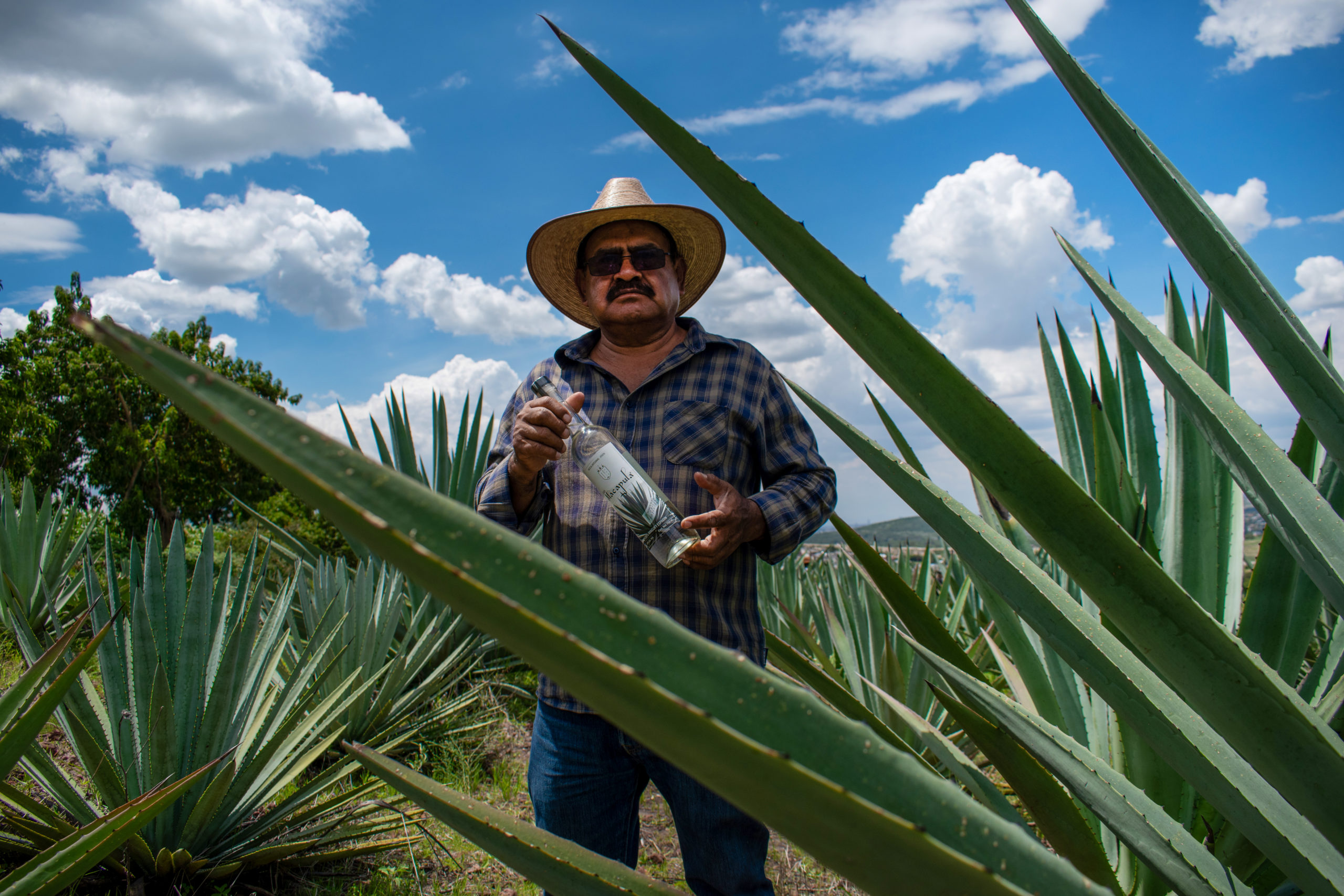 que ofrece ruta del mezcal