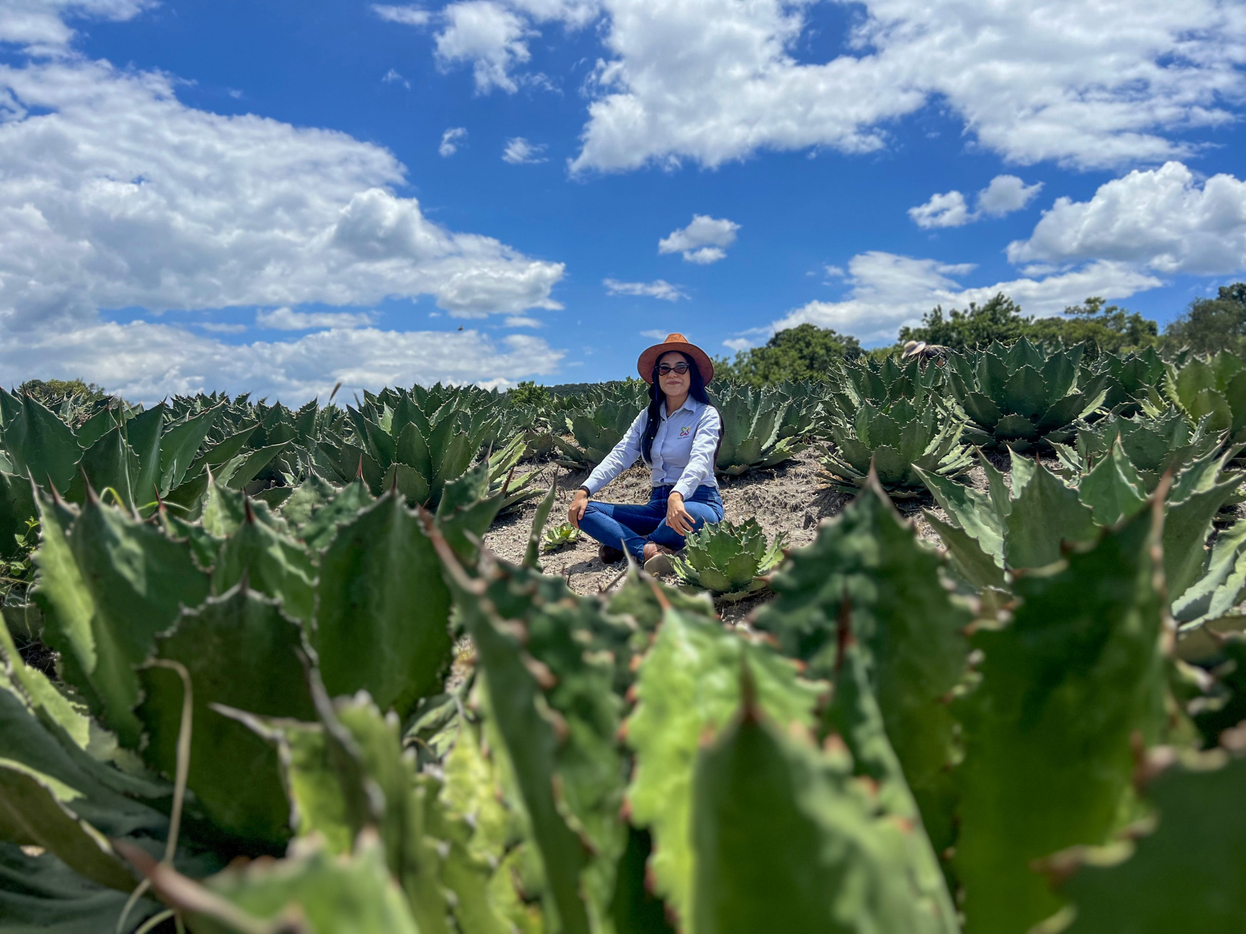 ruta del mezcal campos cultivo