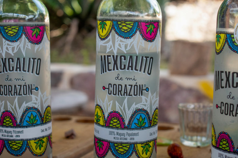 ruta-del-mezcal-catas-degustaciones-bebidas