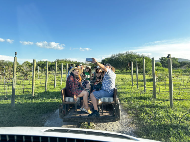 viñedos-en-Querétaro-catas-degustaciones