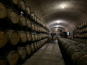 viñedos en querétaro barricas experiencias