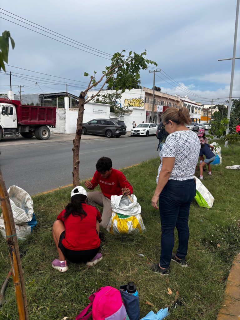 Árbol plantado 3