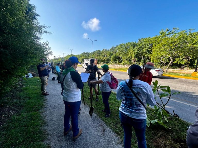 Fundación Eco-Bahía participó en campaña de arborización “Dejando Huellas de Vida”