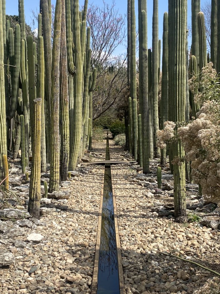 atractivos-de-oaxaca-méxico-jardin-etnobotanico