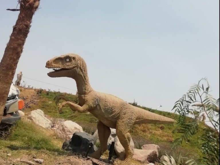 chimalpark-estado-de-méxico-especies-dinosaurios