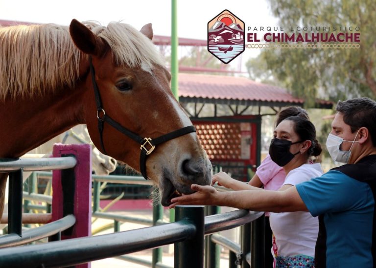 granja-chimalpark-estado-de-méxico