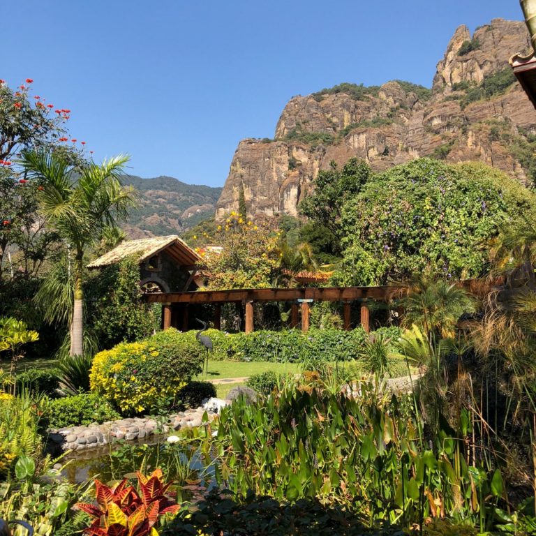 la-buena-vibra-tepoztlán-jardin-restaurante