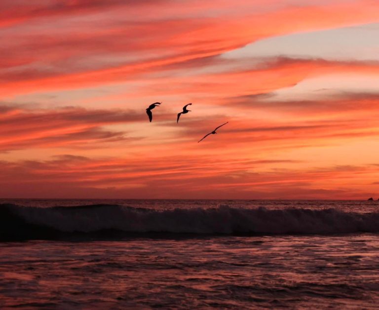 mazatlan-atardeceres-más-bonitos-méxico