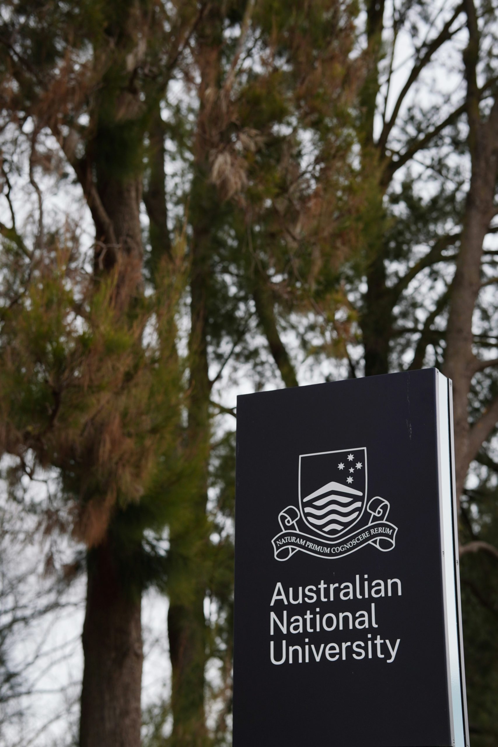 mejores paises para estudiar maestrías australia