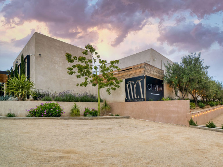 MYA Hotel Boutique y Olivea Farm to Table, dos lugares imperdibles en Valle de Guadalupe