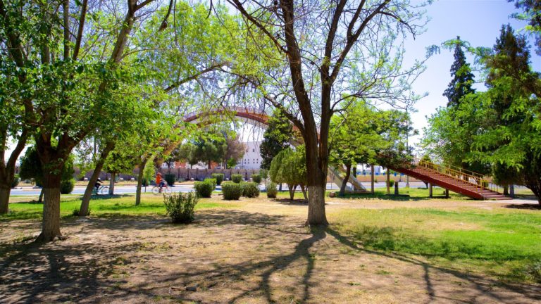 parque-chamizal-ciudad-juarez