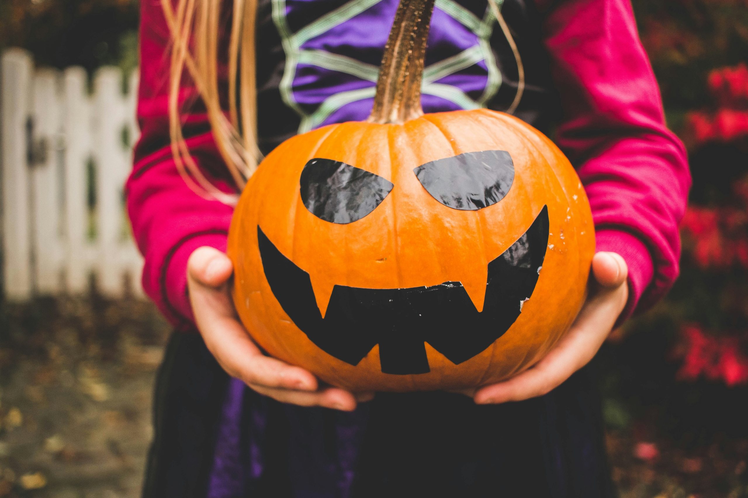 que hay festival de la calabaza