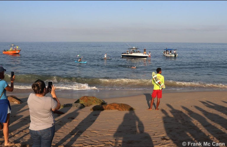 36 deportistas nadarán por las ballenas en Puerto Vallarta