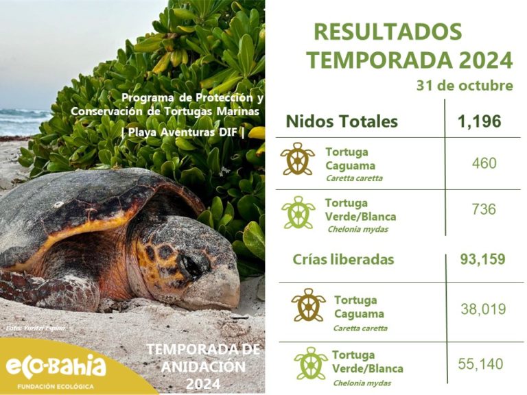 PLANILLA RESUTADOS octubre