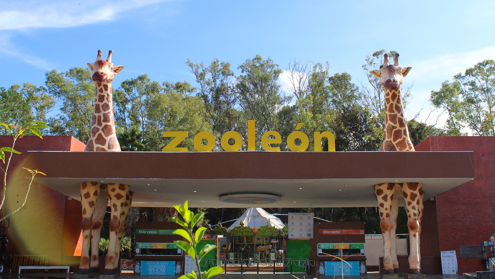 actividades en león zoo leon