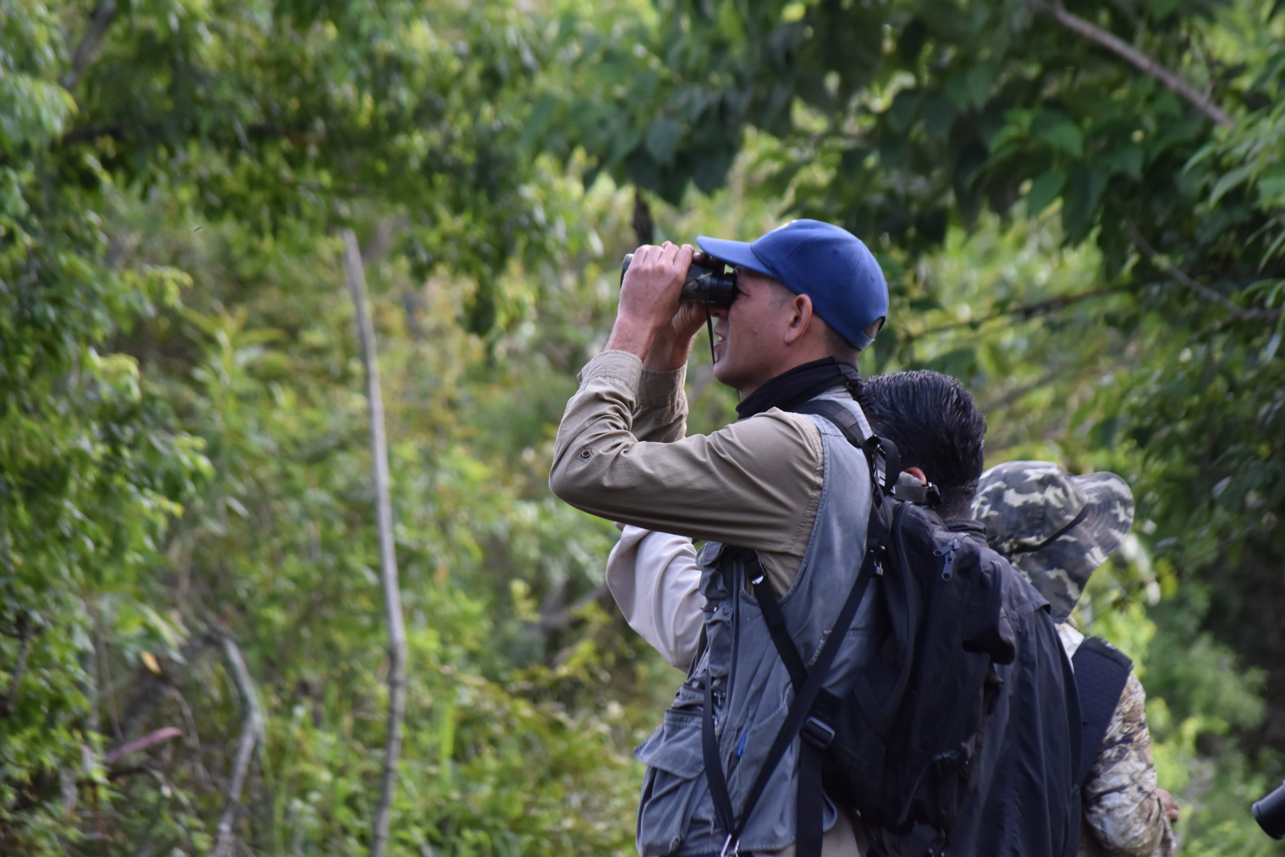 avistamiento aves colima birding 2024