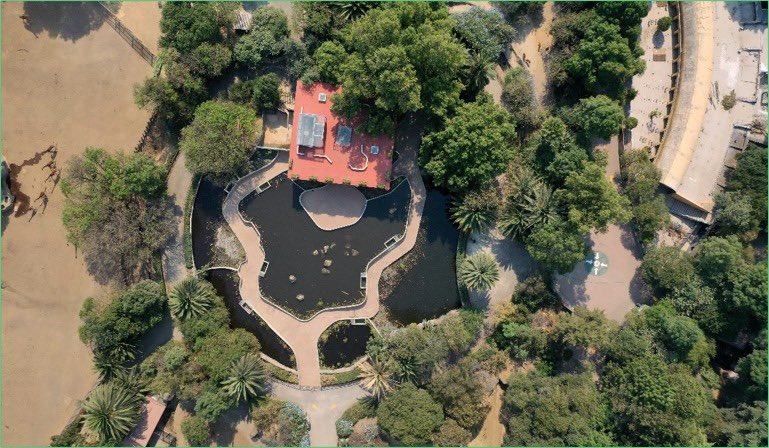 bosque-chapultepec-ajolotes-en-méxico