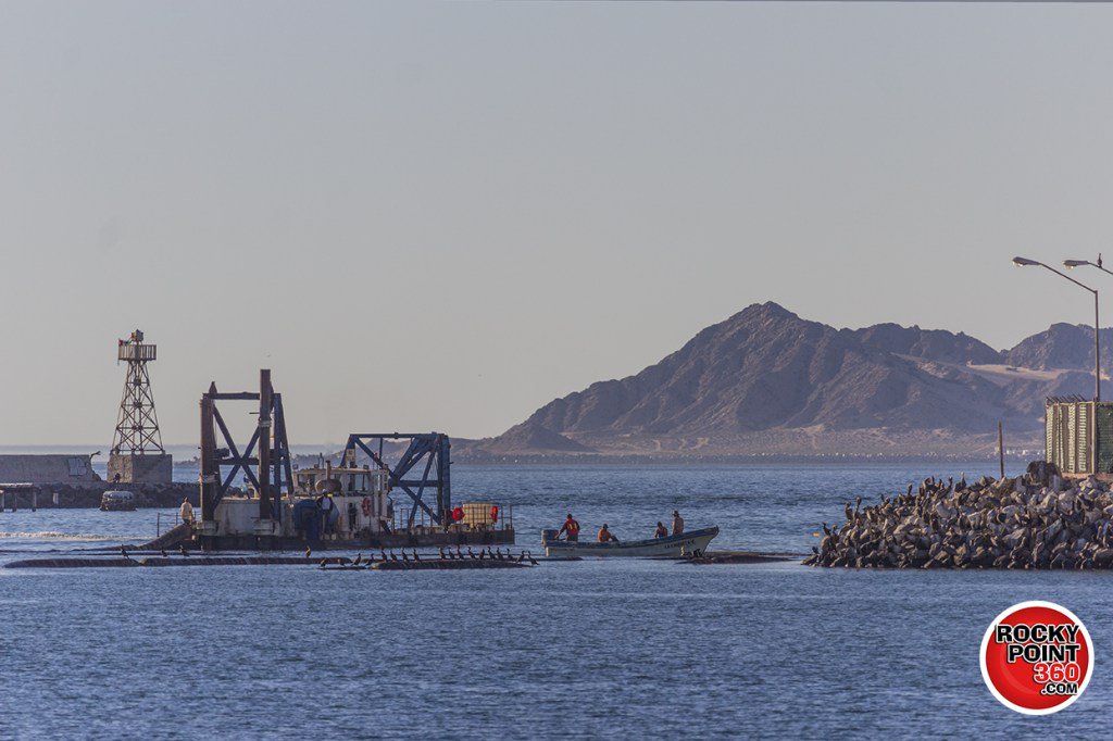 muelles en mexico puerto peñasco