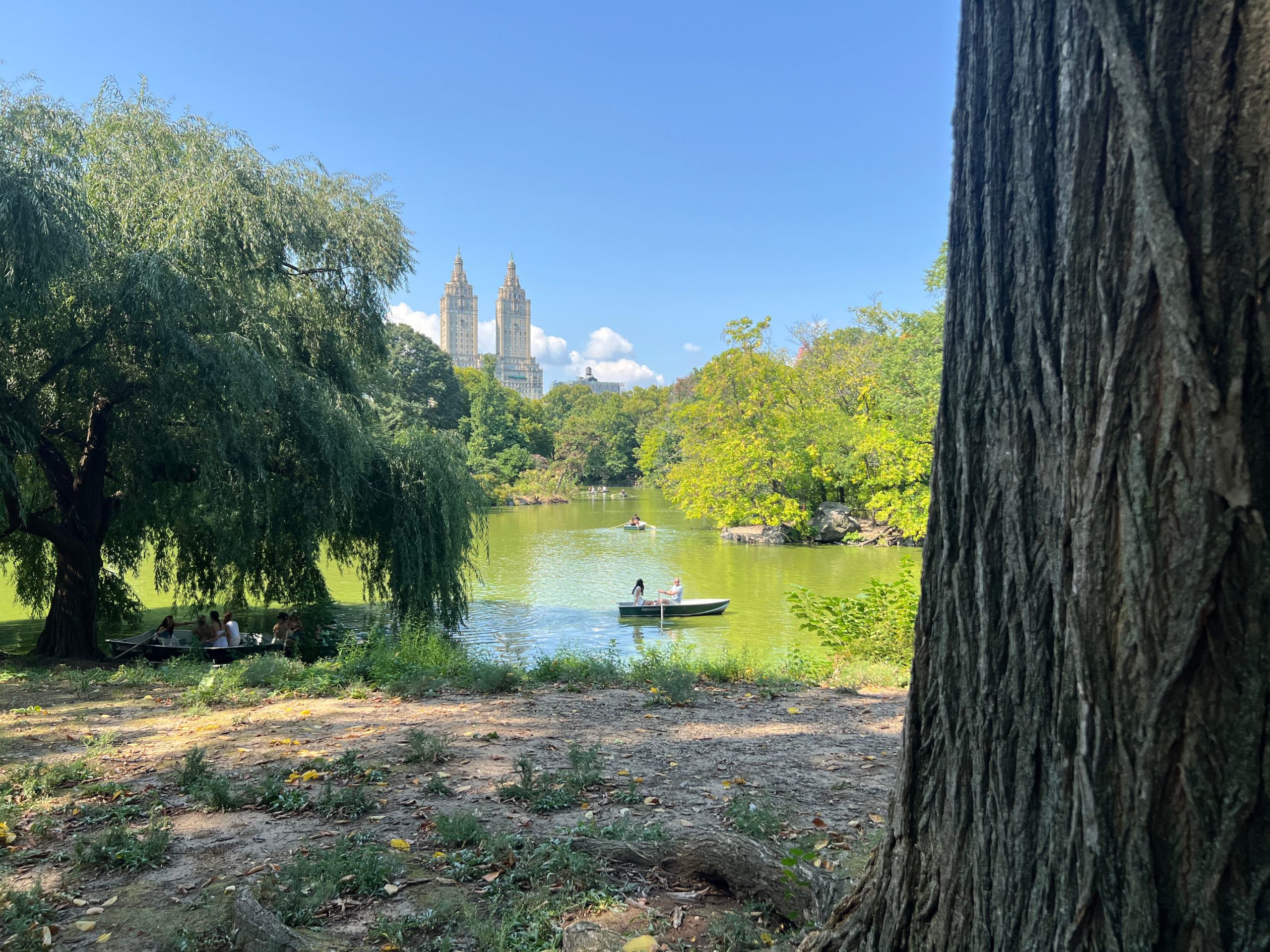 naturaleza central park nueva york