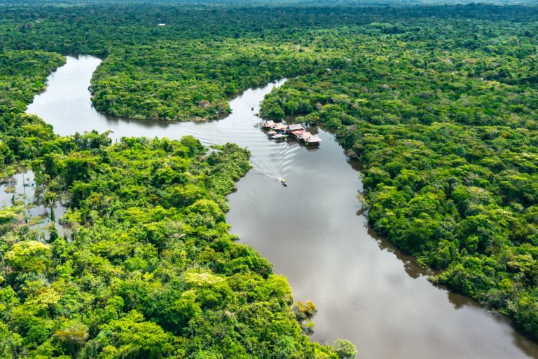 patrimonios-mundiales-en-peligro-selva-amazonas