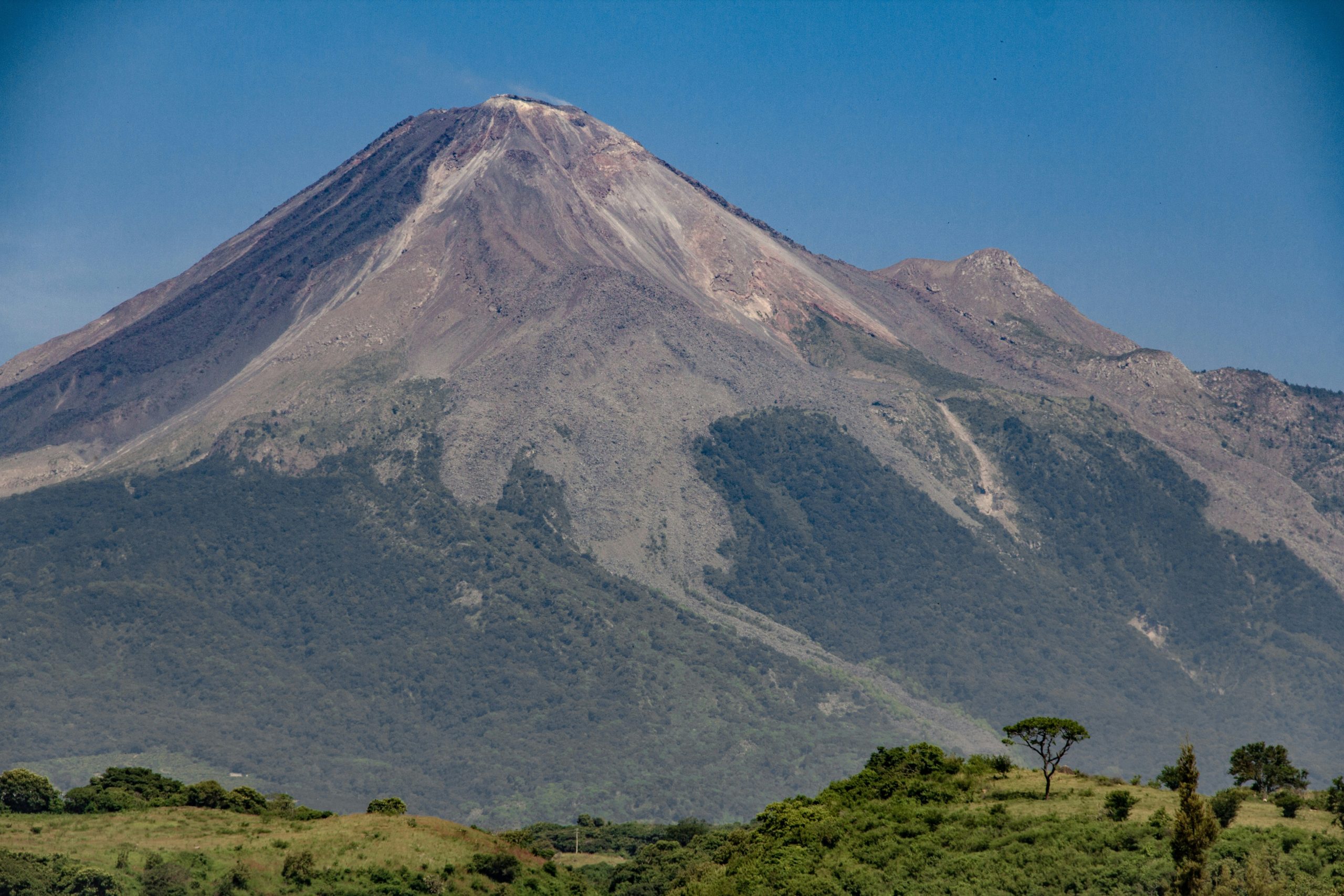 platillos típicos de colima destino turismo