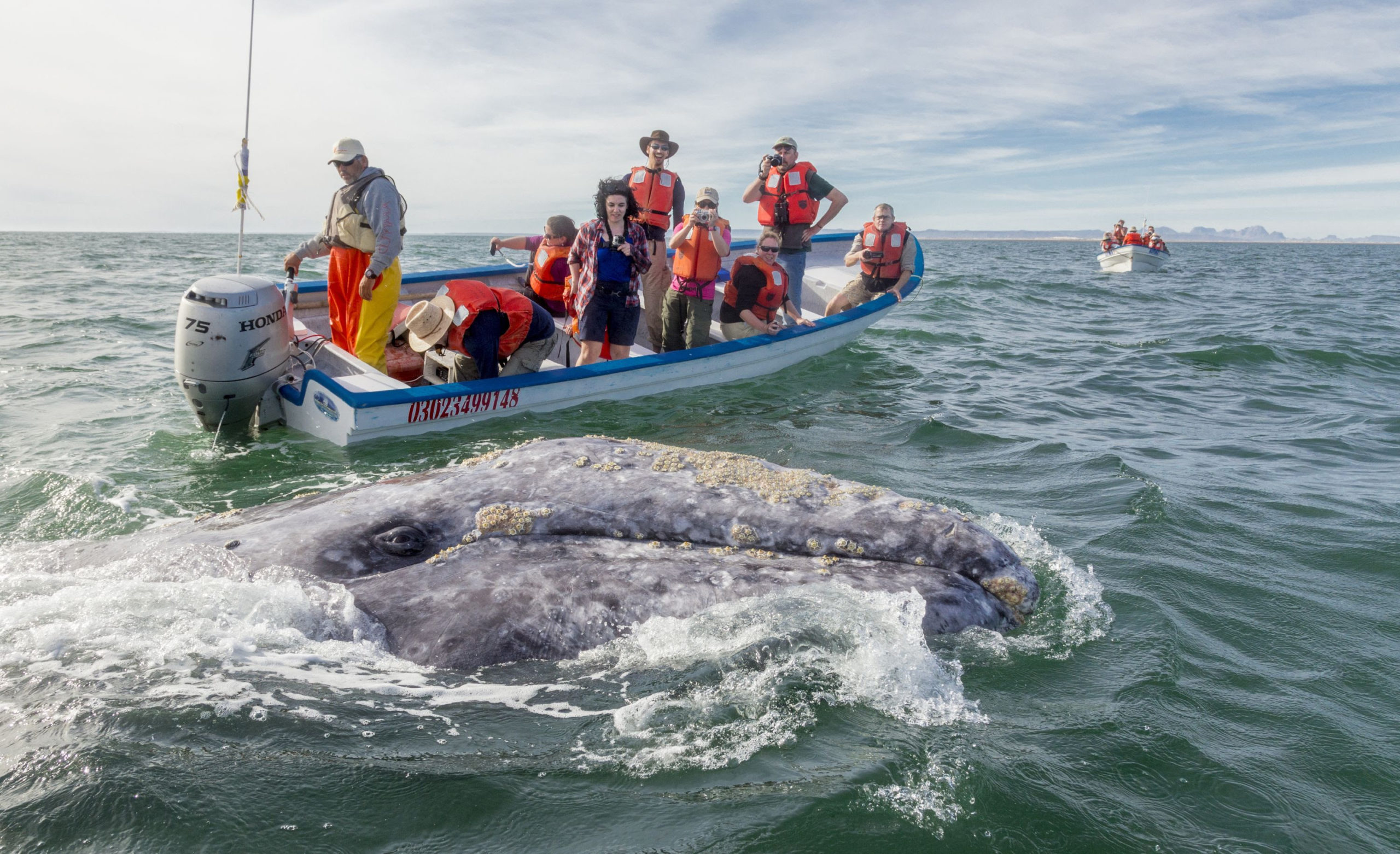 playas para pasar navidad los cabos