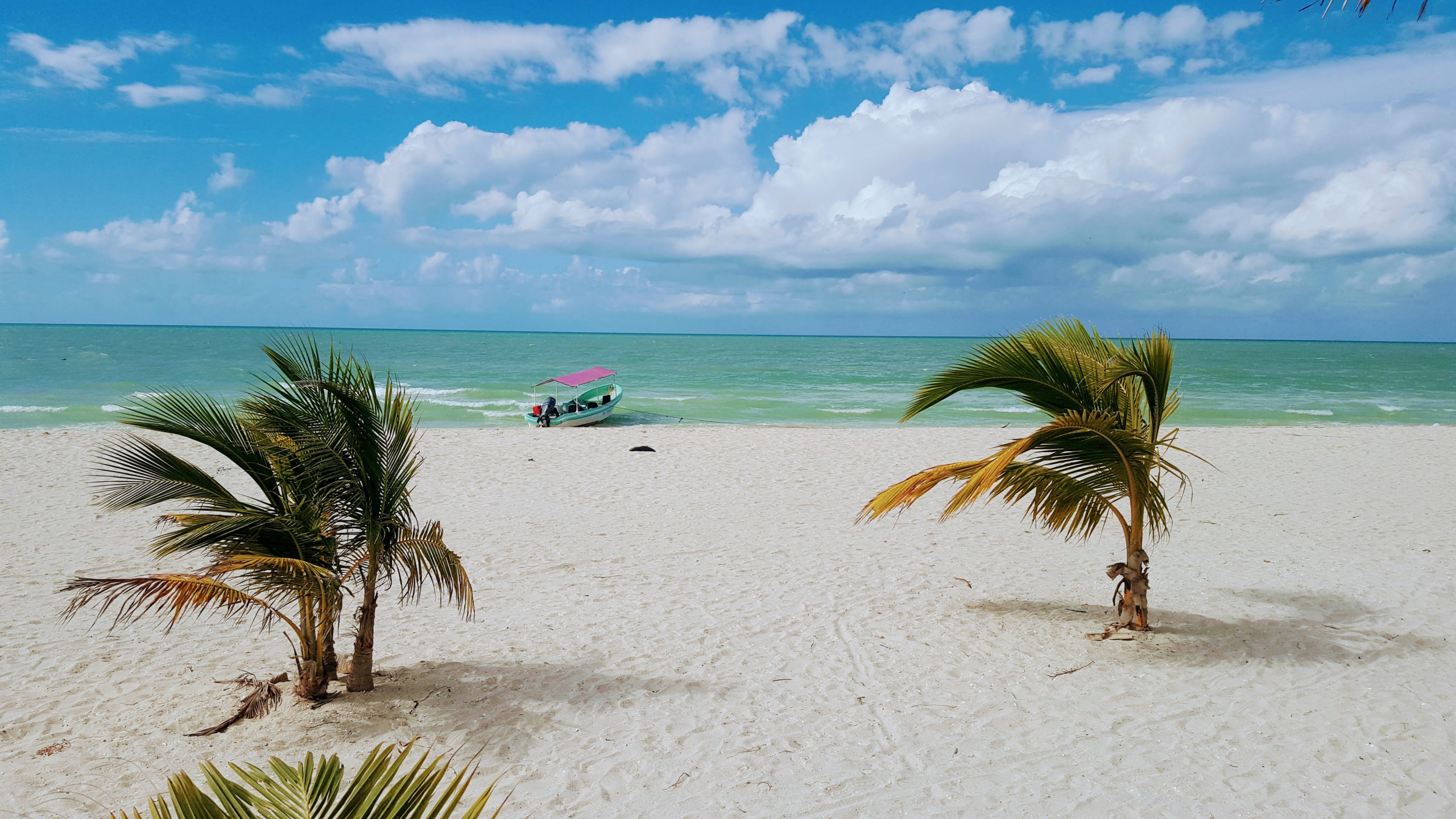 playas para pasar navidad progreso