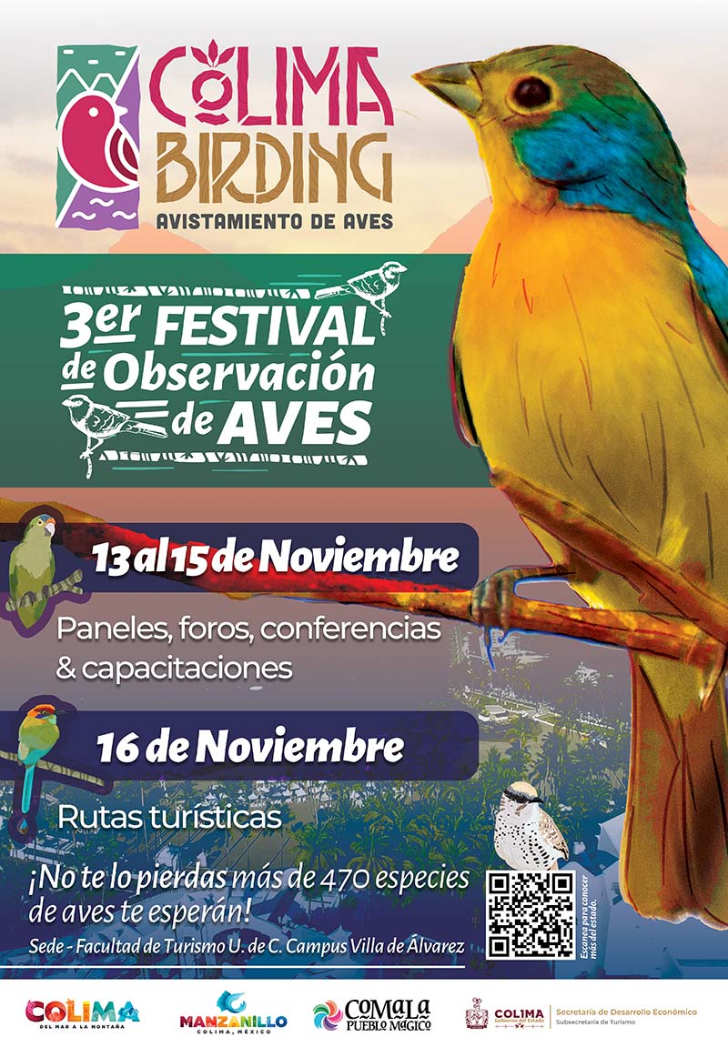 poster oficial colima birding 2024