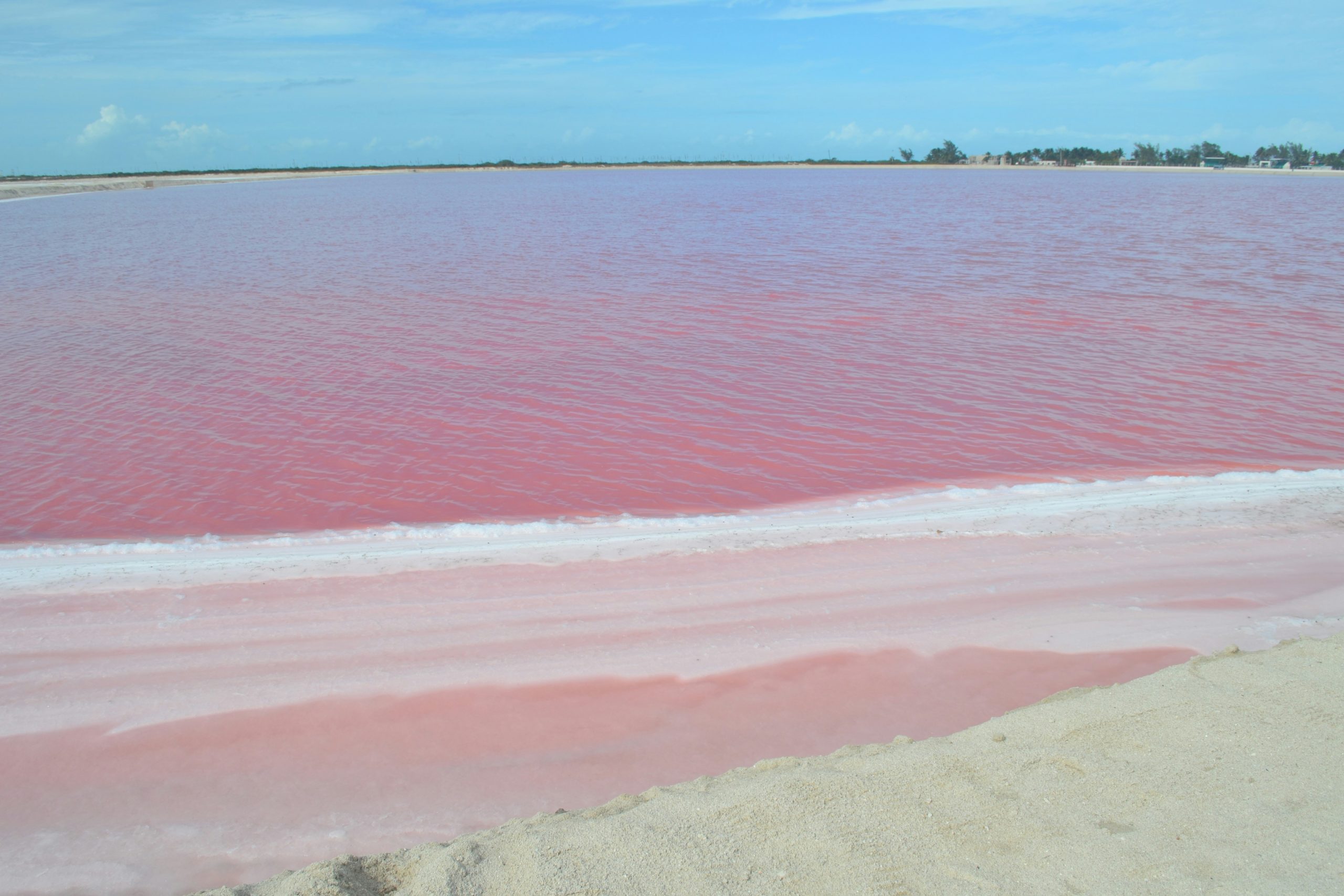 que ver las coloradas yucatán