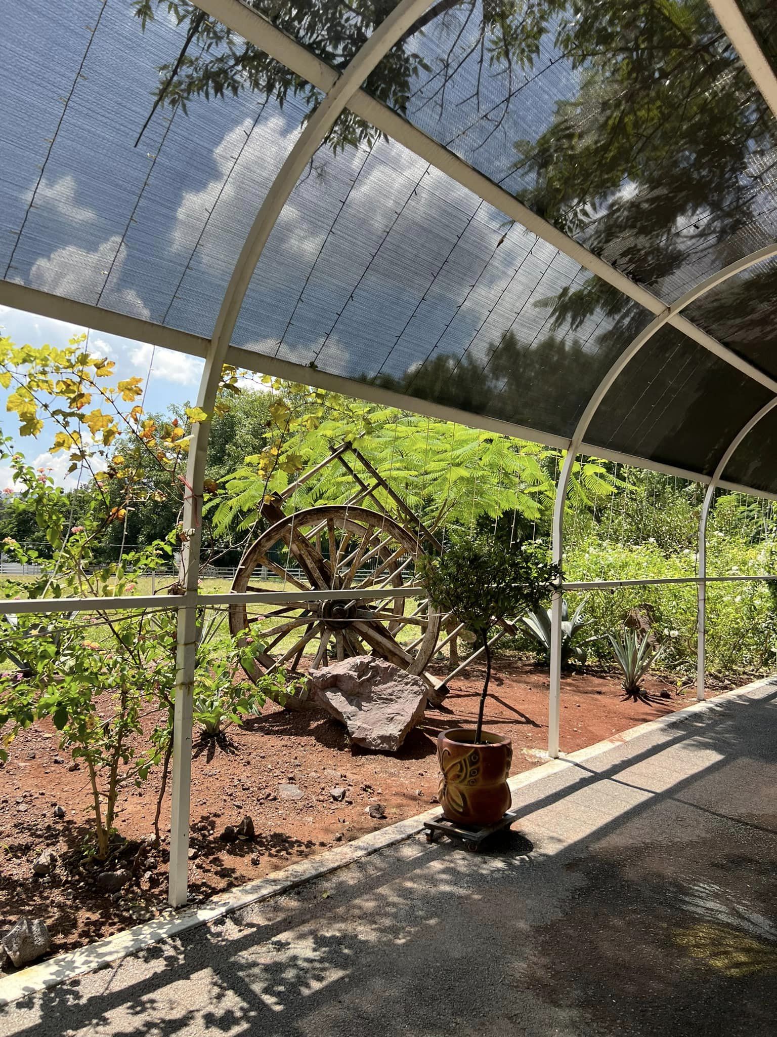 rancho los tres potrillos jalisco méxico