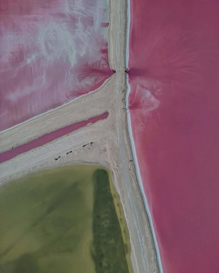 temporada-de-las-coloradas-yucatán