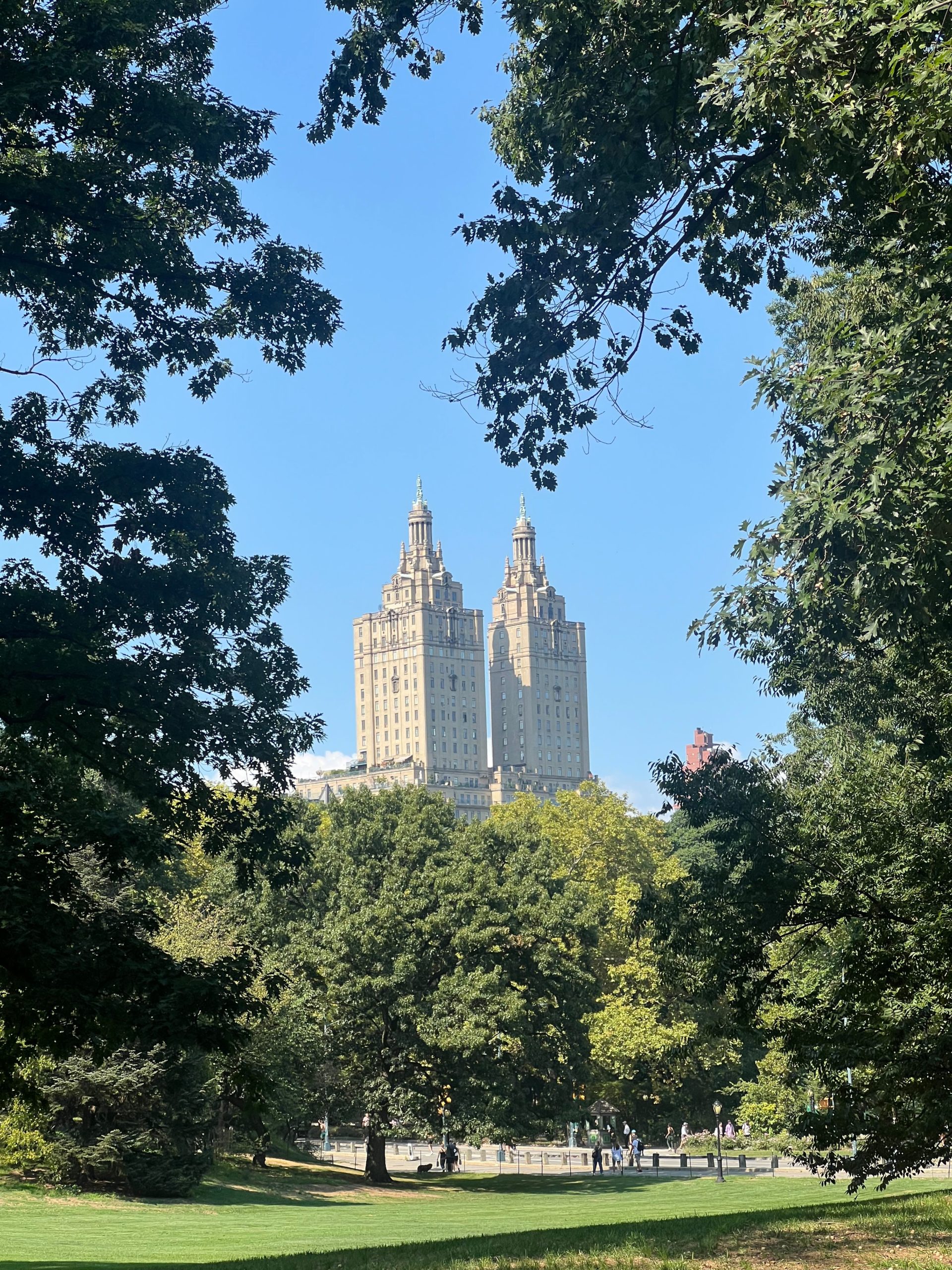 vista catedral central park nueva york