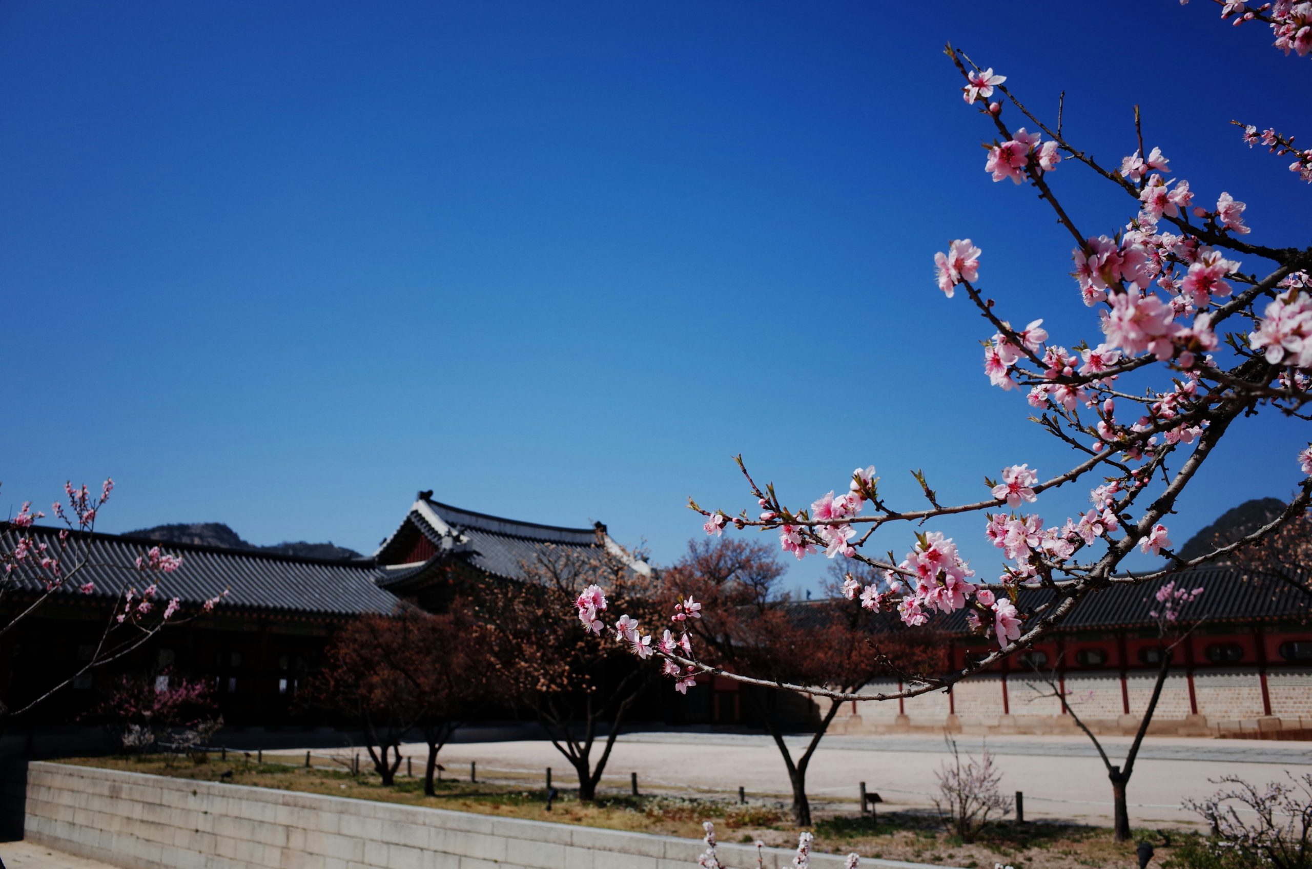 Gyeongbokgung qué hacer en seúl