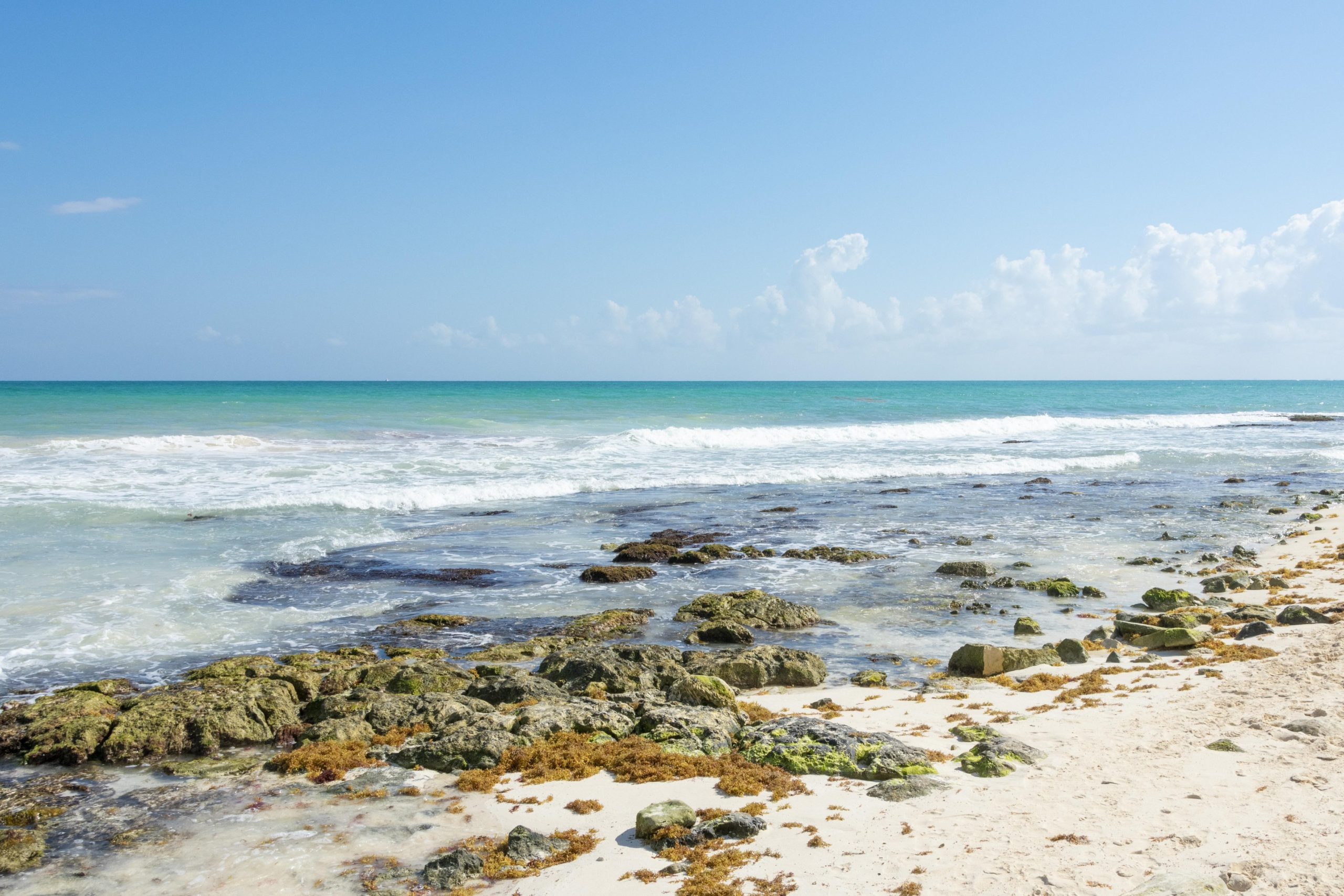 año nuevo en méxico playa carmen