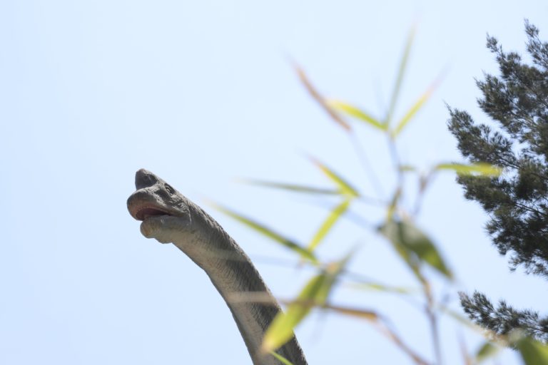 atracciones-dinosaurios-IztapaSauria-cdmx-iztapalapa