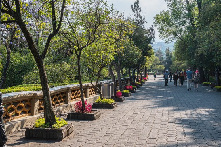 Bosque de Chapultepec: qué hacer en el pulmón de CDMX