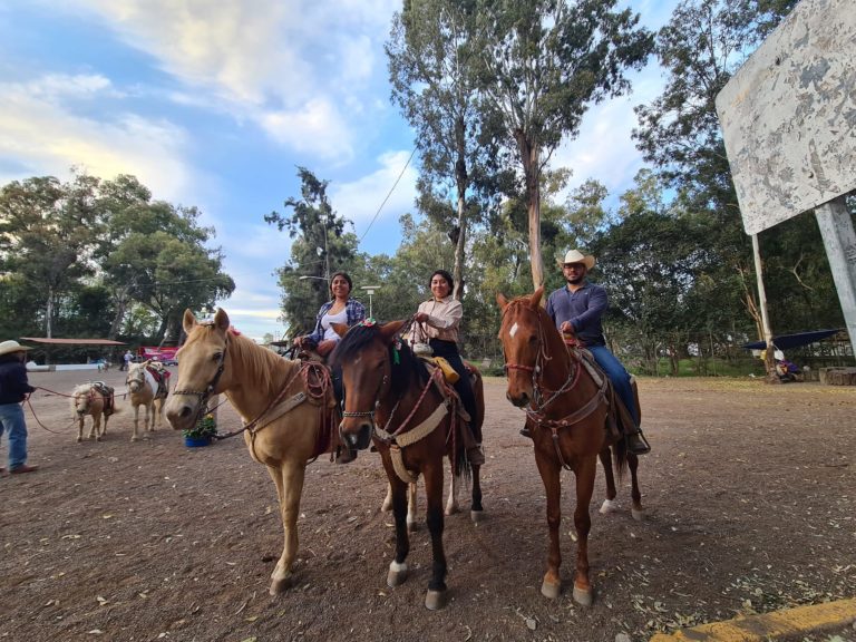 bosque-xochimilco-en-cdmx-nativitas