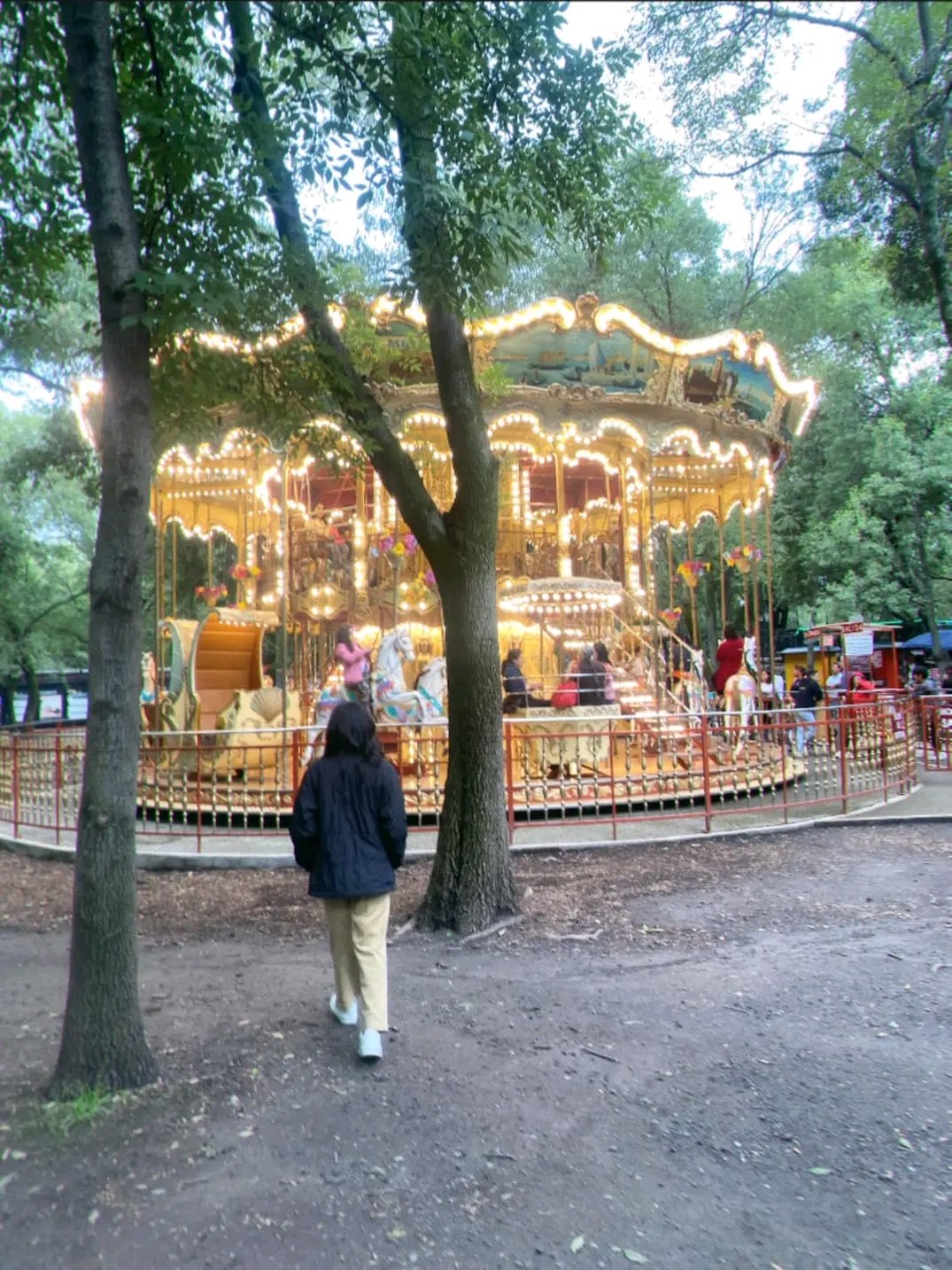 carrusel de bosque de chapultepec