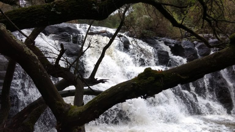 Cascadas Rancho Campestre: relájate en este ecoparque que te enamorará