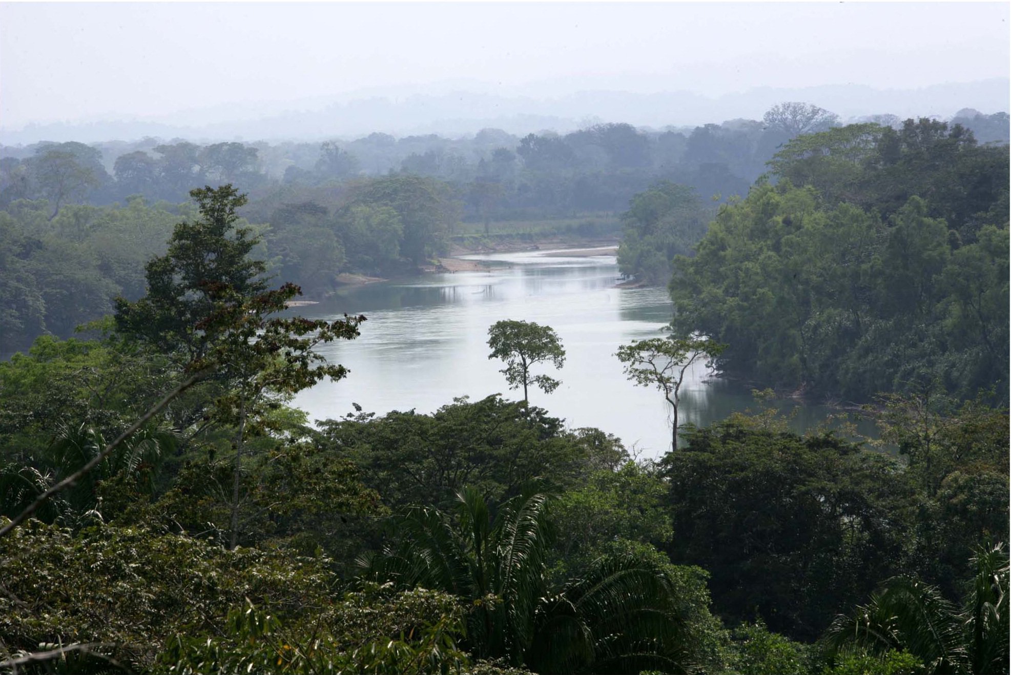 chiapas naturaleza metro viveros selva lacandona