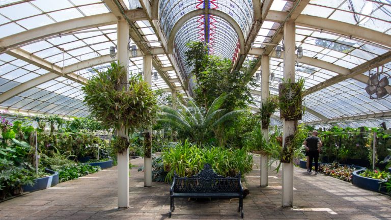 jardin-bosque-de-chapultepec-botanico