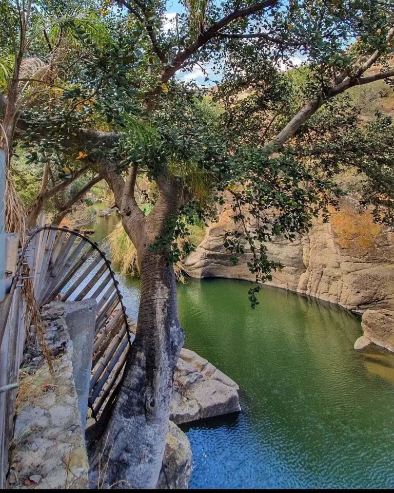 manantiales-taxidho-tecozautla-pueblo-magico-hidalgo