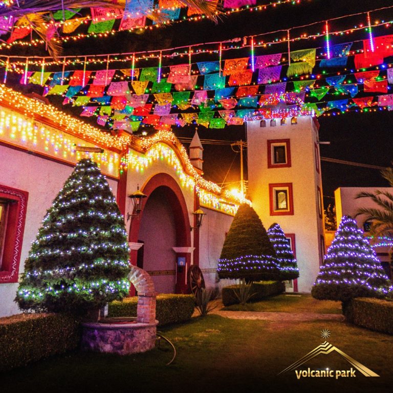 pinos-navidad-noelandia-en-volcanic-park