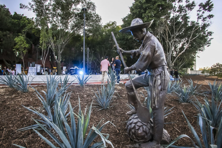 tequila-lab-guadalajara-jalisco-destilados