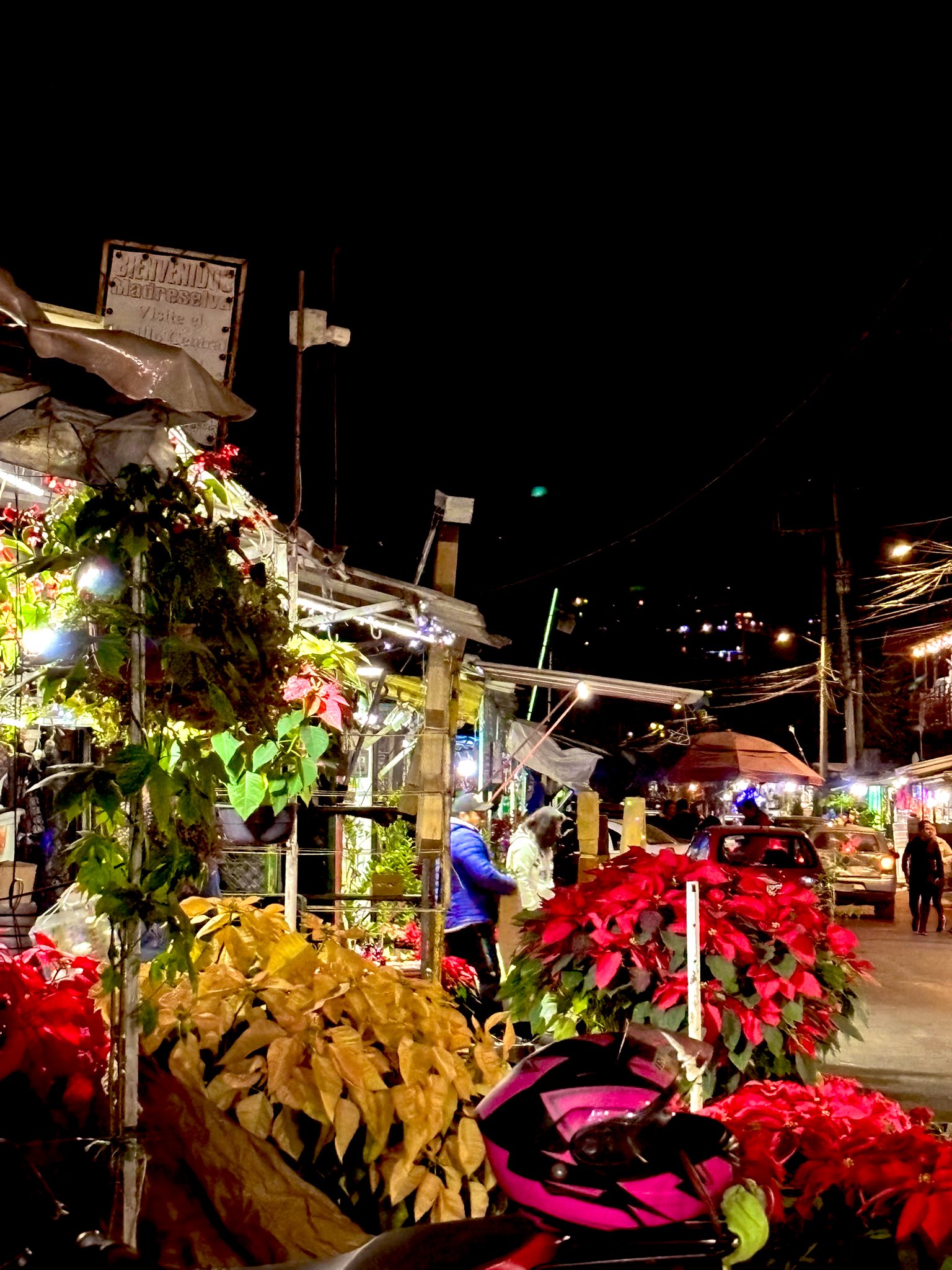 xochimilco en cdmx mercado de plantas