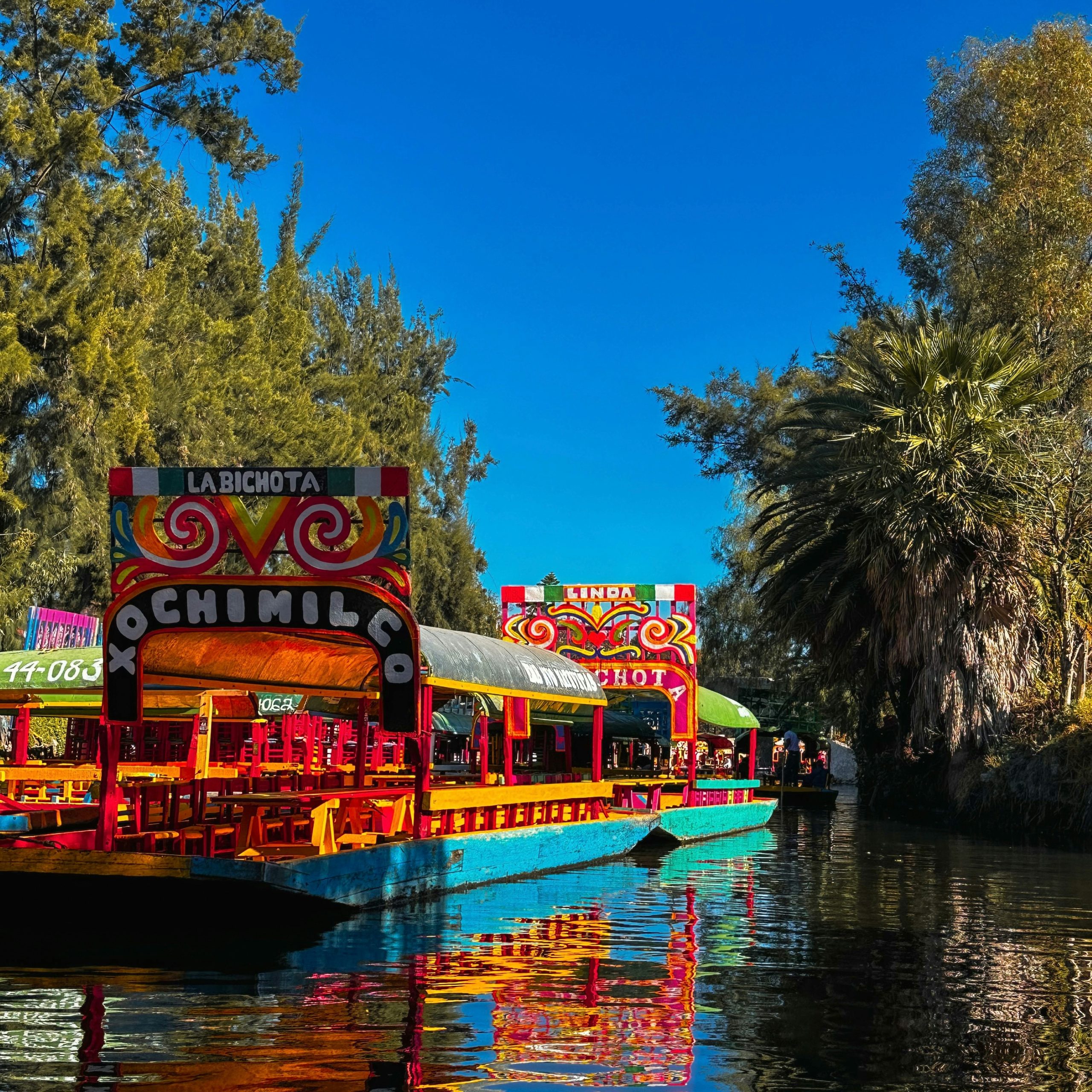 xochimilco en cdmx viaje trajinera