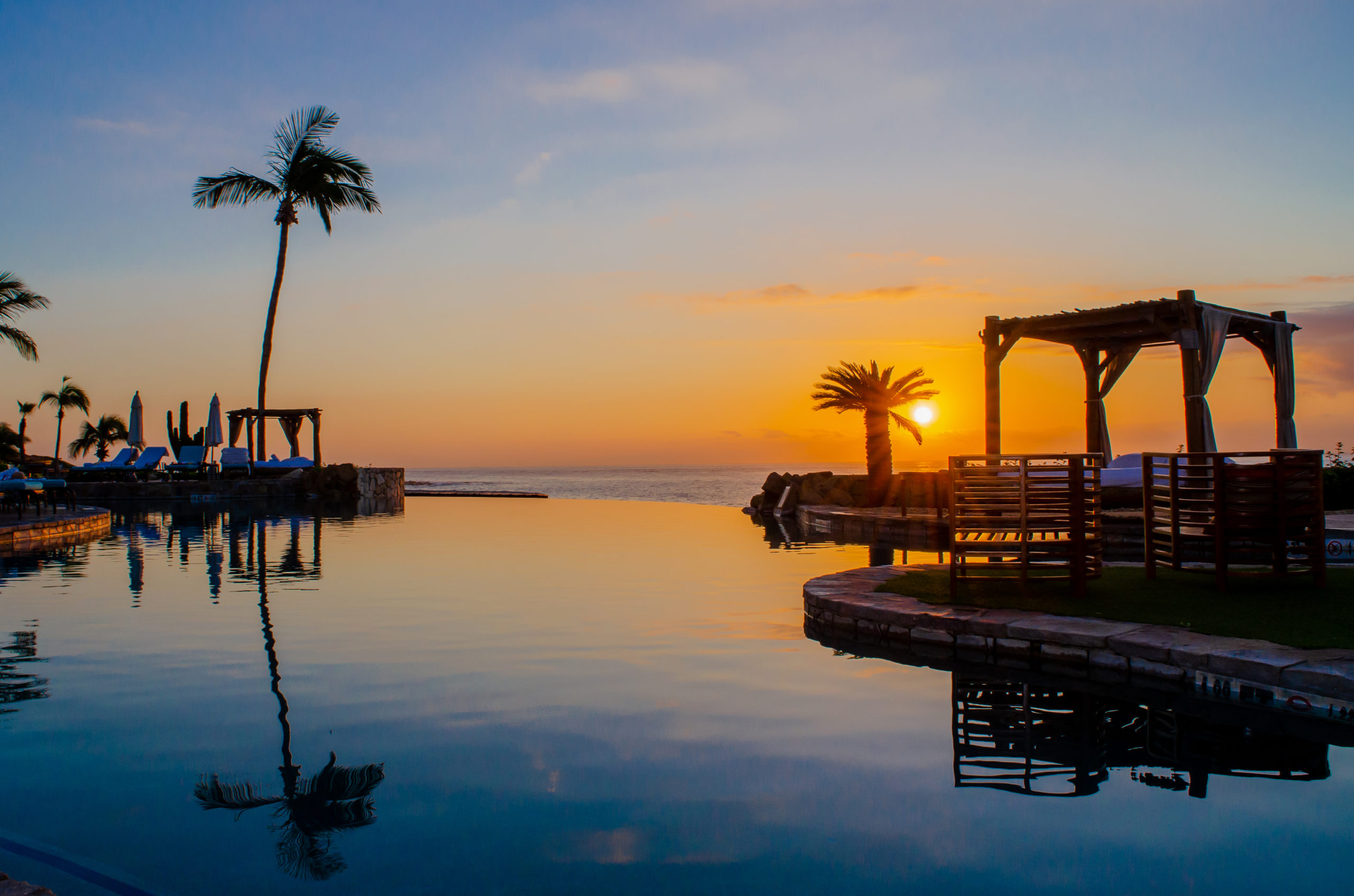 Los Cabos avistamiento de ballenas