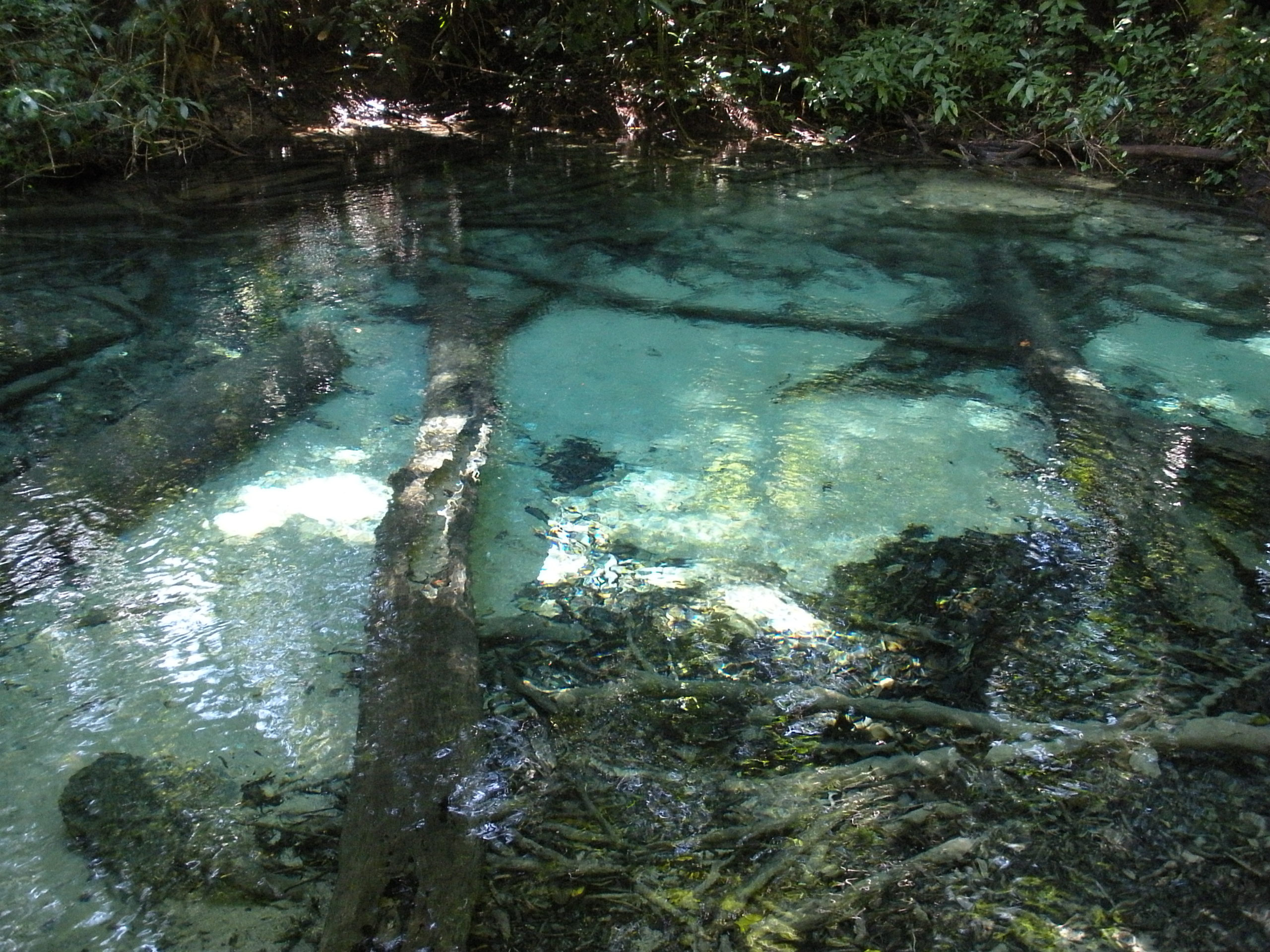 actividades reserva de la biosfera montes azules