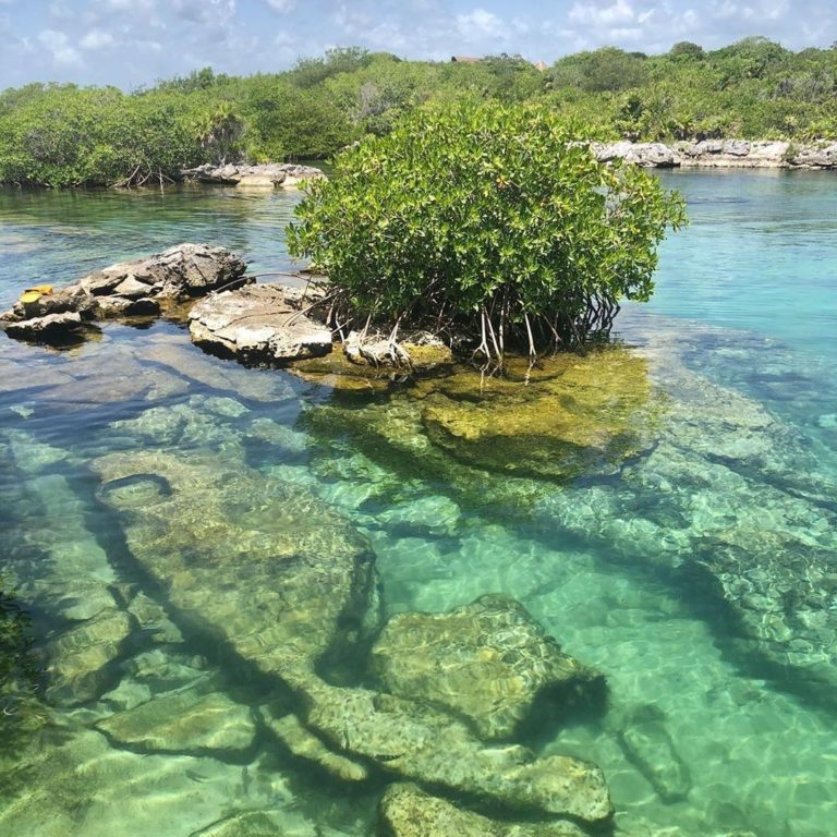 akumal-quintana-roo-laguna-yal-ku