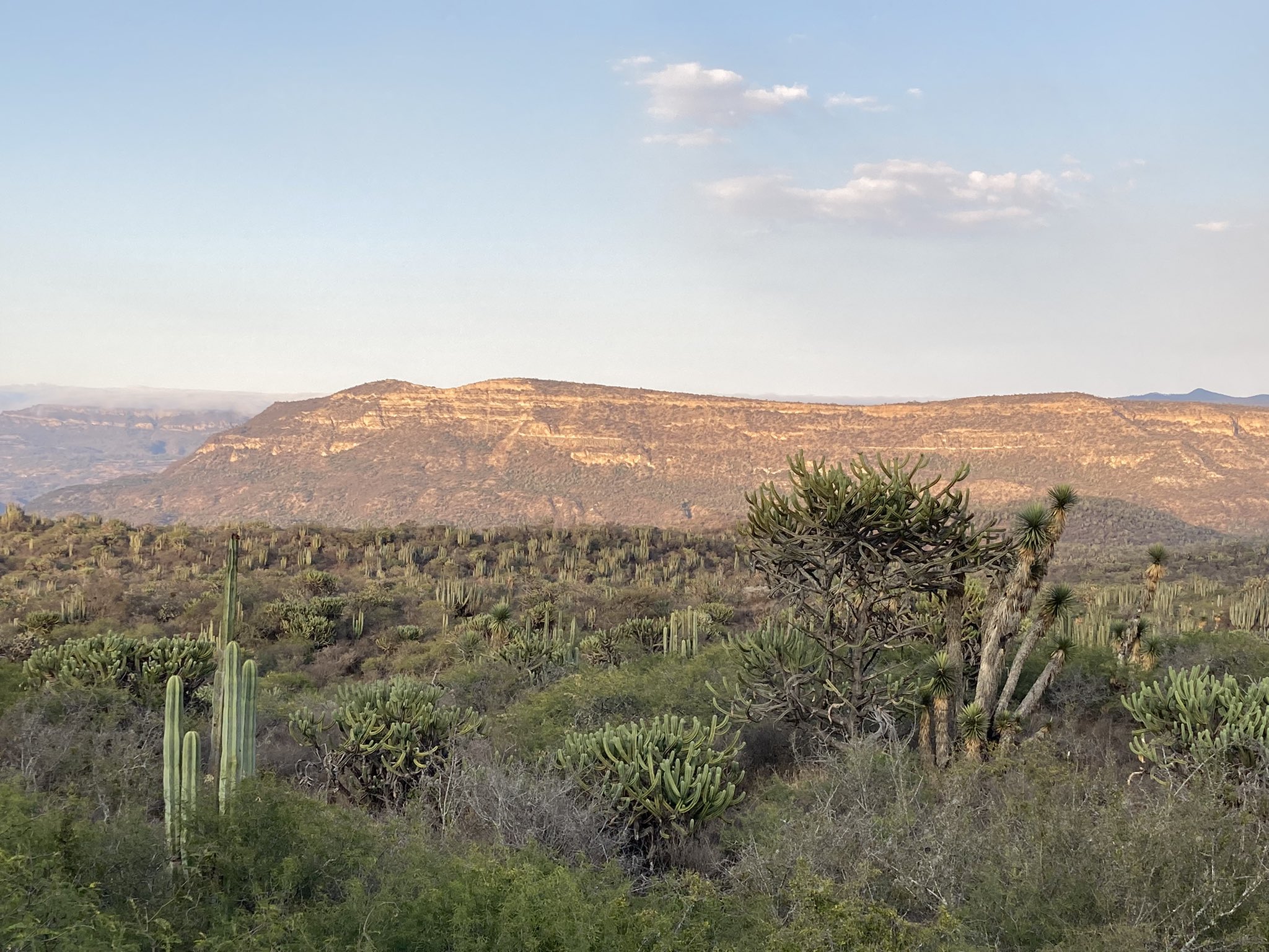 atractivos reserva de la biósfera barranca de metztitlán